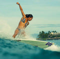 Surf Trip Pack  | Chinese Herbal Tinctures