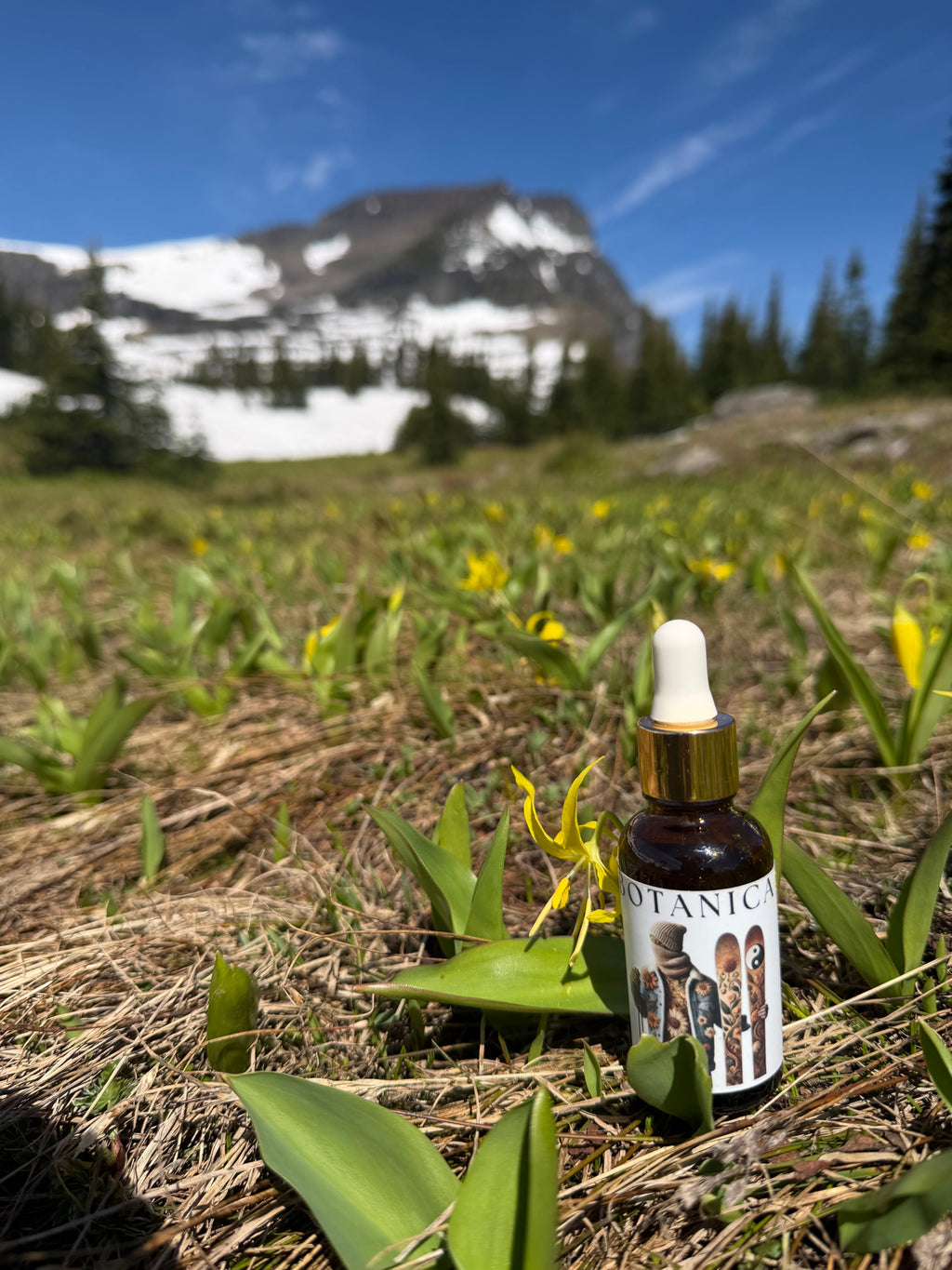 No Time for Colds  | Chinese Herbal Tincture