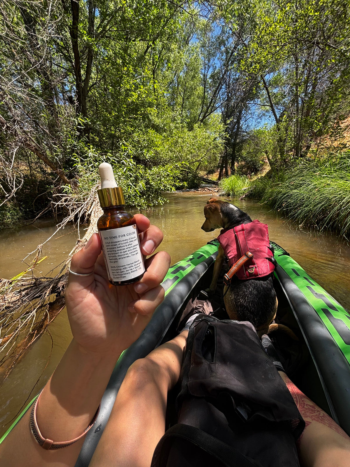 No Time for Colds  | Chinese Herbal Tincture