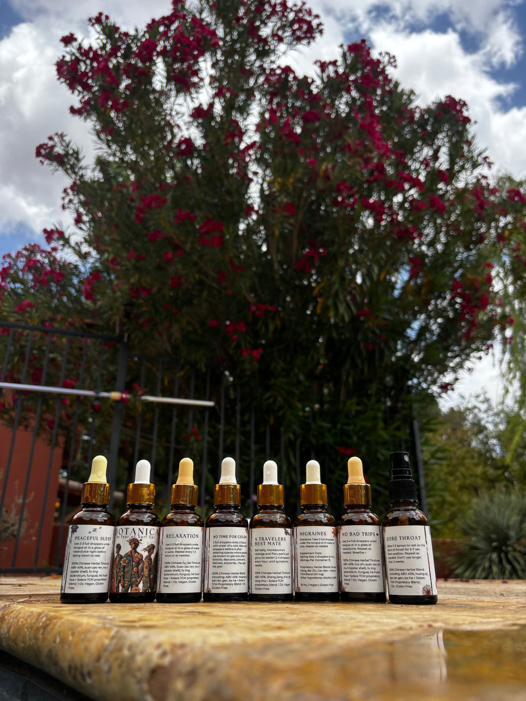 Traveler's Best Mate (Stomach Support) | Chinese Herbal Tincture