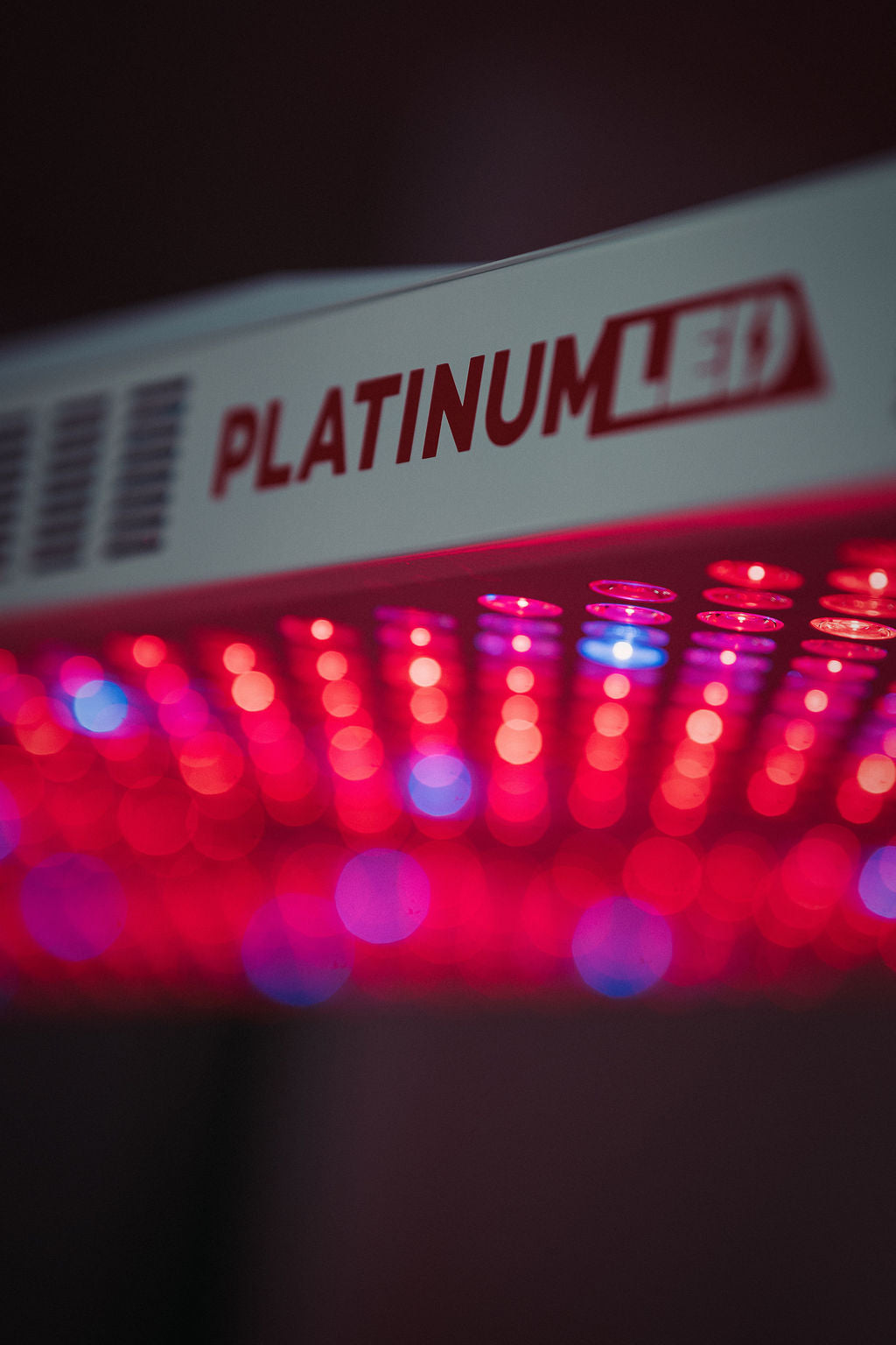 Red Light Therapy