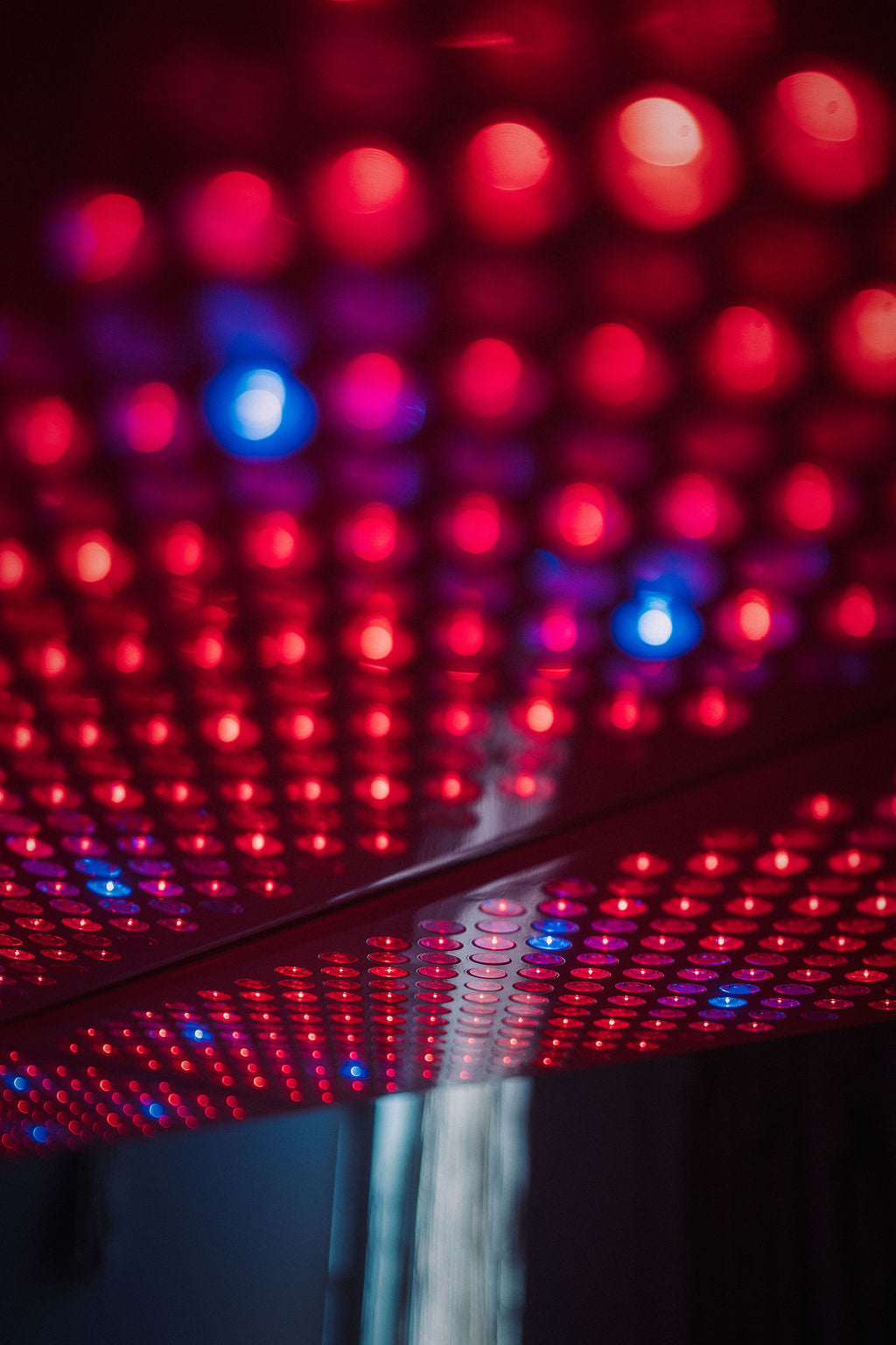 Red Light Therapy
