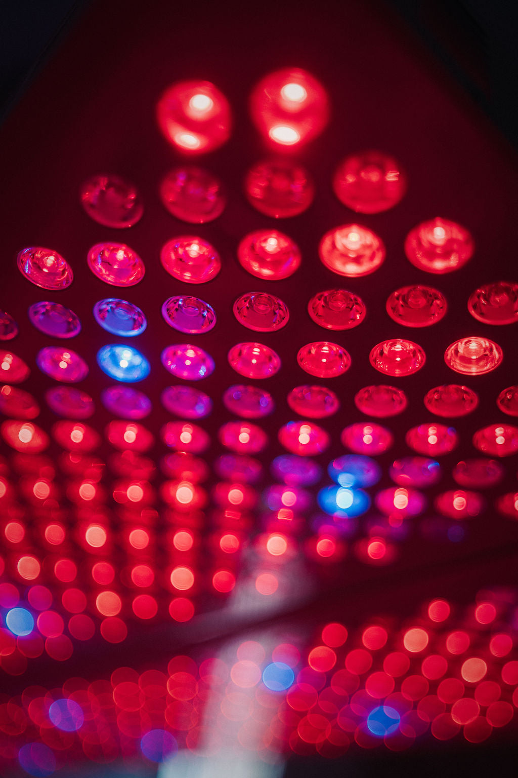 Red Light Therapy